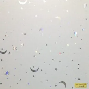 Tấm Trần Nhựa 600×600 – 600×1200 (Trần Thả Cao Cấp)