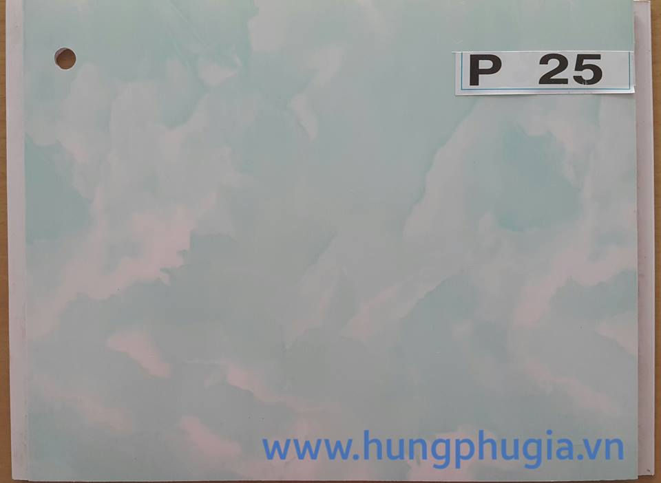 tấm trần nhựa la phông nhựa 18cm, 25cm, 30cm Đồng hồ Orient RA-AA0813R19B